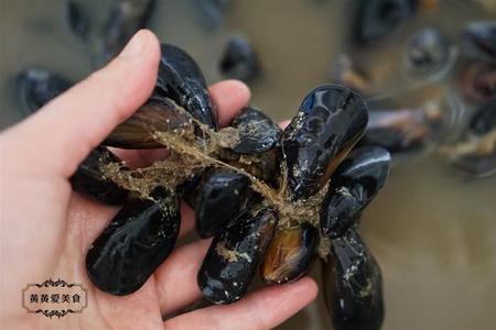 海虹开锅后煮几分钟熟