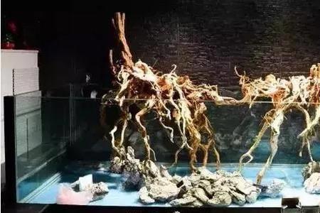 龙鱼缸造景直角溢流怎么处理