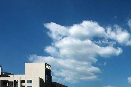 山东中医药大学必考物理专业吗