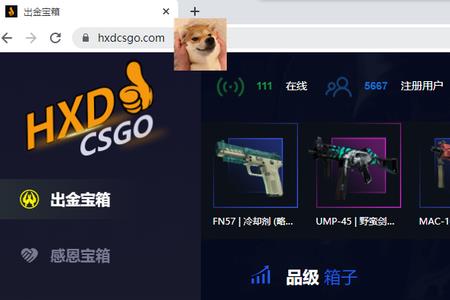 csgo为什么不能给武器命名