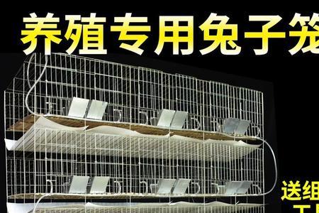 母兔窝高宽是多少
