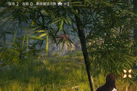 永劫无间火罗国金蟾蜍刷新位置