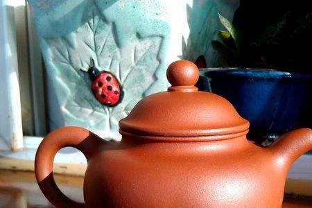 紫砂壶去茶垢妙招