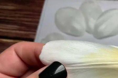 郁金香花瓣能吃吗