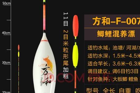 鲤鱼漂用多少目