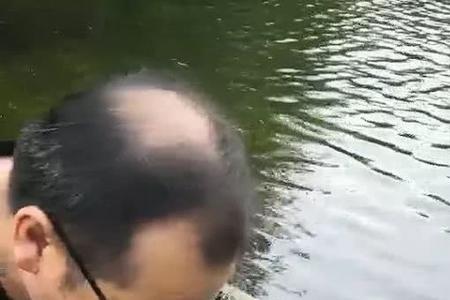 放生五只青蛙代表什么