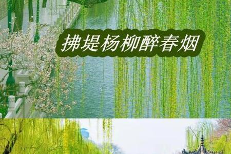 济南的春天的赏析