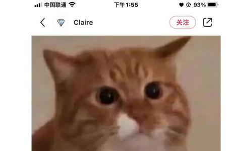 跟反驳一样的意思