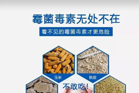 青饲料要不要加脱霉剂