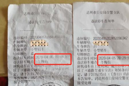 汽车违停待审核什么意思