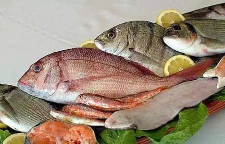 冬天鱼食怎么调配