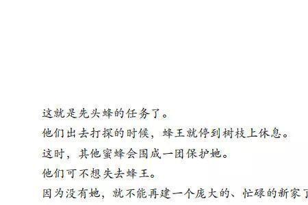 蜜蜂的评语怎么写
