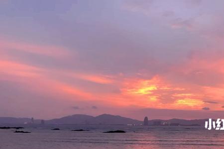 海边之夜周几更新