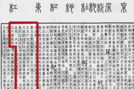 食加束念什么