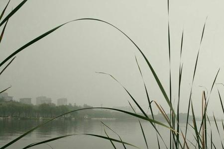 雾迟迟什么意思