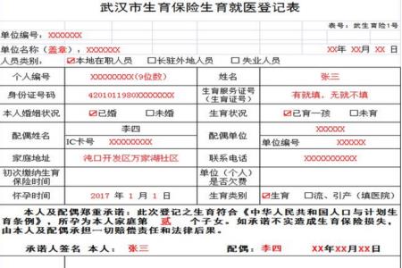 生育津贴胎儿数怎么填