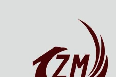 zm是什么