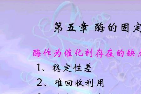 固化酶是什么
