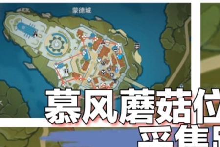 原神慕风蘑菇商人位置
