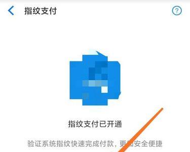 为什么手机突然不支持指纹支付