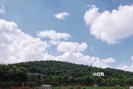 春之南鹏达都市农庄好玩吗
