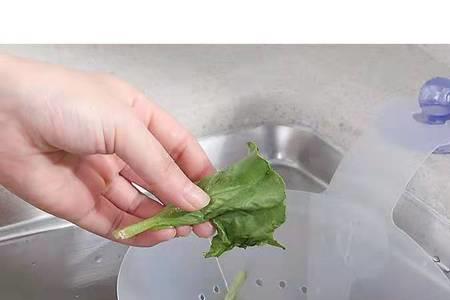 剩菜放厨房的哪里