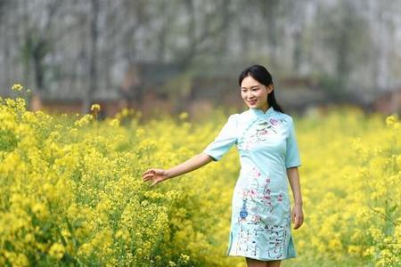 新蔡花溪古寨门票多少