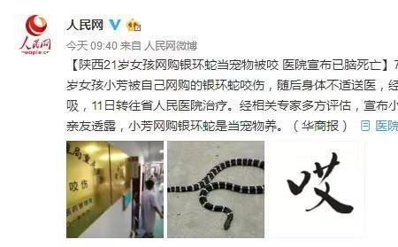 银环蛇每年会咬死多少人