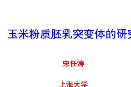 为什么胚乳是三倍体高中生物