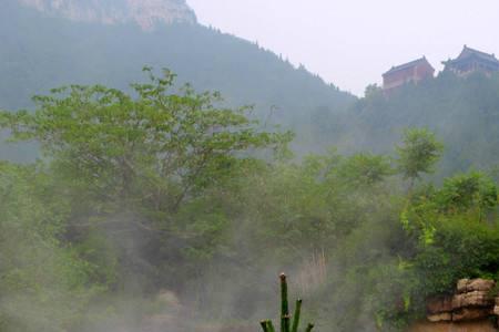 山高千仞必有其根