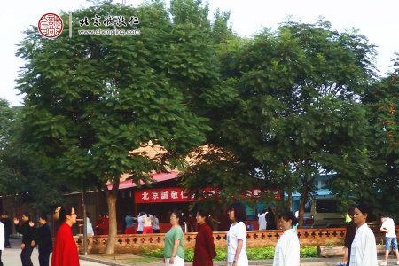 养元桩和无极桩的区别