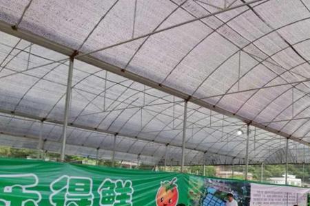 梅州正佳农业发展有限公司介绍
