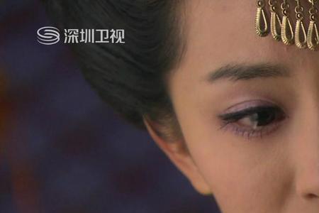 成语青鸾火凤引申义