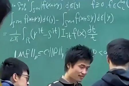 韦东奕的数学成就国际认可吗