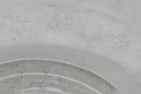 小银虫是什么虫