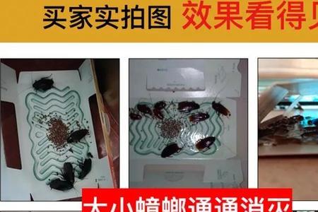 蟑螂屋需要水平放置吗