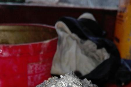 为什么鳄龟会咬死同类