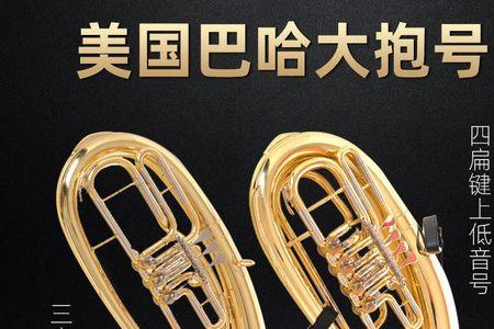 上低音号可以考大学吗