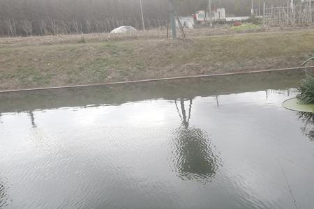 阴天16度钓鱼是钓深还是钓浅