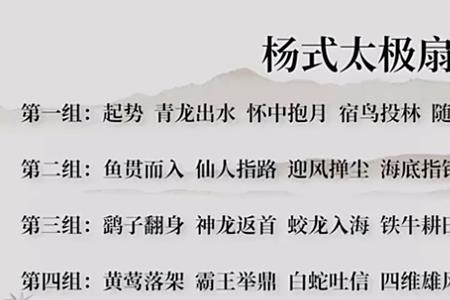 杨式28式太极刀背向示范