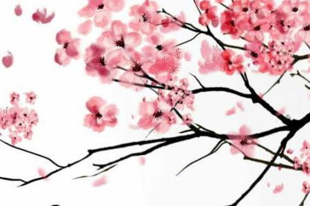 沈采奕取自什么成语