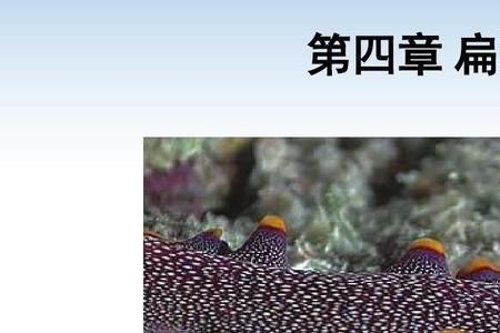 线形动物门与线虫动物门的区别