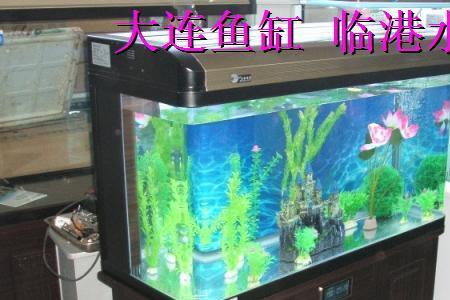 1.2米的鱼缸一般多宽