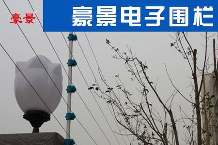 电子围栏合金线放里面还是外面