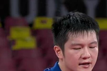 樊振东cnf什么意思