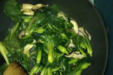 青菜怎么做好吃又简单家常做法
