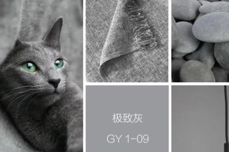 灰色是什么色号