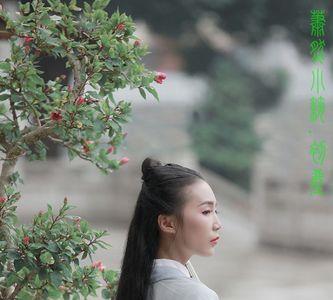 清逸出尘的意思