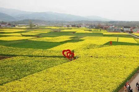去花卉基地毅行需要带什么