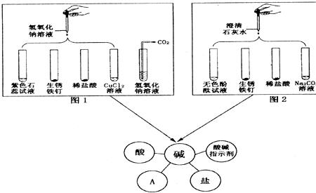 油碱火碱有什么区别